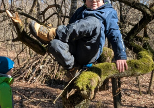 Chłopcy siedzą na drzewie