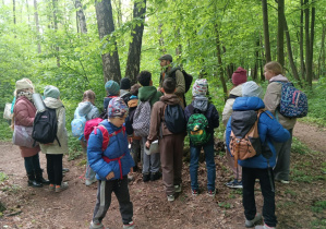 Pociąg leśny