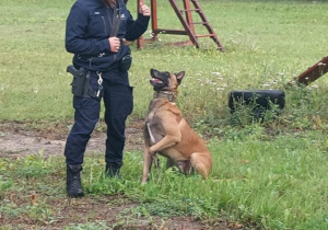 Pojicjantka szkoli psa policyjnego