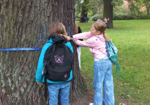 Dzieci mierzą pień drzewa miarką