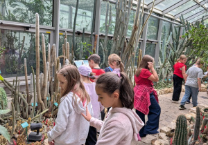 Dzieci ogladają kaktusy