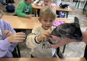 dziecko dotyka zwierzątka