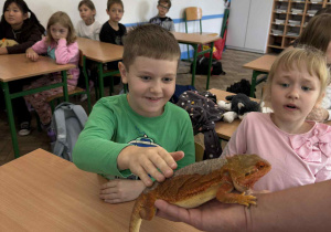 dziecko dotyka zwierzątka