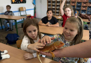 dziecko dotyka zwierzątka