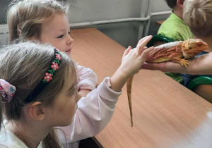 dziecko dotyka zwierzątka