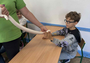 dziecko dotyka zwierzątka