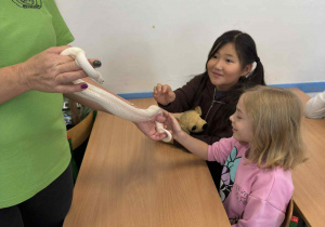 dziecko dotyka zwierzątka