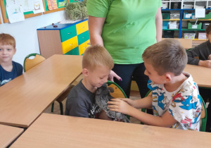 dziecko dotyka zwierzątka