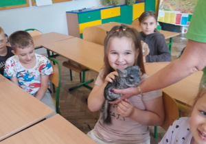 dziecko dotyka zwierzątka