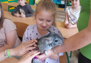 dziecko dotyka zwierzątka