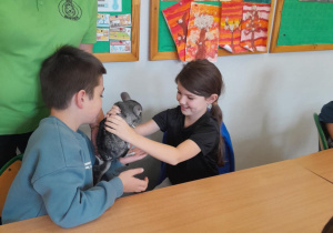 dziecko dotyka zwierzątka