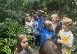 dzieci ida w palmiarni