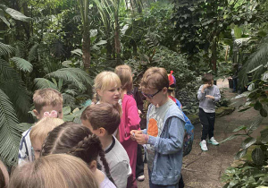 dzieci ida w palmiarni