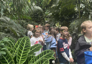 dzieci ida w palmiarni