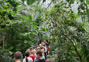 dzieci idą po palmiarni