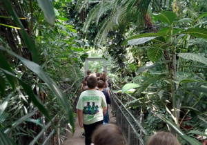 dzieci idą po palmiarni