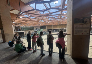 oglądanie zachowania słoni podczas karmienia