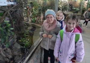 uczennice przy terrarium