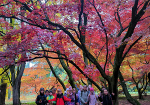 3c wśród kolorowych klonów