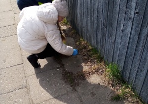 Uczeń zbierający śmieci