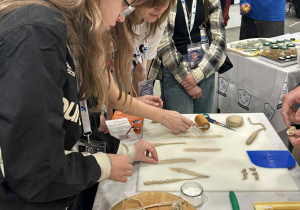 dzieci wykonują prace