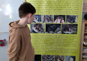 Chłopiec ogląda plakat