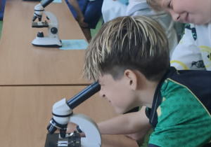 Uczniowie ogladają preparaty pod mikroskopami_